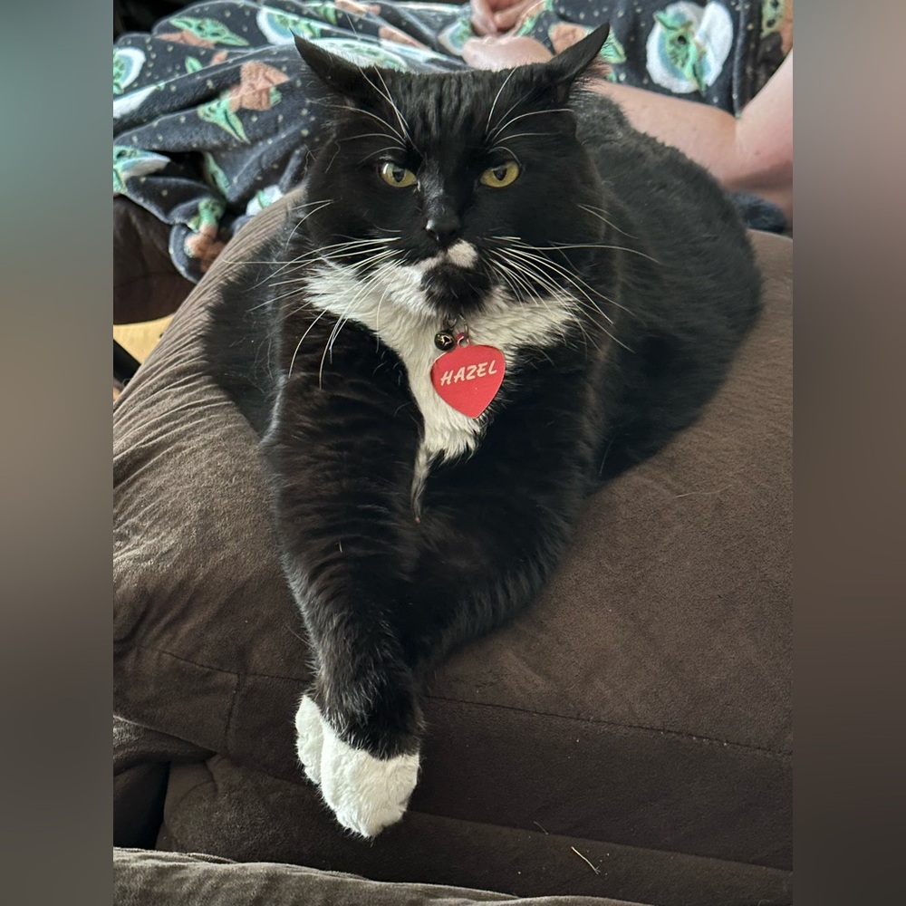 Meet your Posher, Terri